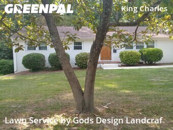 Lawn Mow nearby Raleigh, NC, 