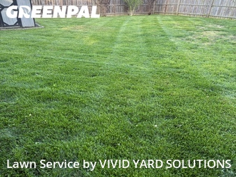 Lawn Mow nearby Village Green, PA, 