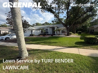 Yard Mowing nearby Palm Harbor, FL, 