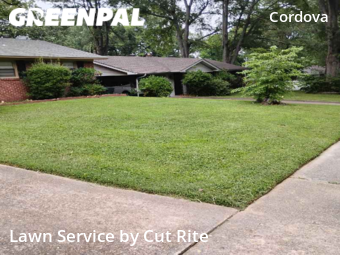 Lawn Mowing nearby Shelby County, AR, 