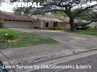Lawn Cut nearby San Antonio, TX, 