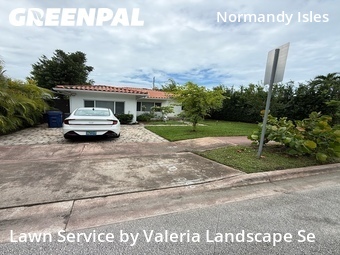 Grass Cut nearby Miami Beach, FL, 