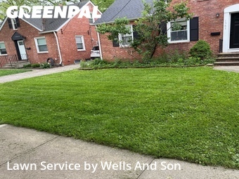 Lawn Care Service nearby Lyndhurst, OH, 