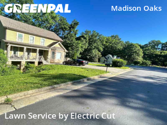 Lawn Care Service nearby Cary, NC, 