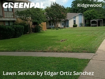 Lawn Maintenancein Plano,75074,Lawn Mowing by Edgar Ortiz Sanchez, work completed in Jun , 2026