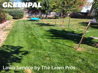 Lawn Maintenance nearby Broomfield, CO, 