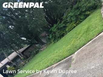 Lawn Mow nearby Tampa, FL, 