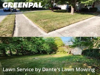 Grass Cut nearby Springfield, MO, 