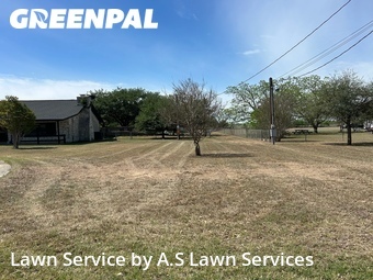 Lawn Service nearby Cibolo, TX, 