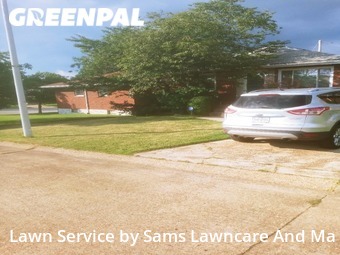 Lawn Care nearby St. Louis, IL, 