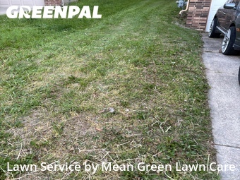 Grass Cuttingin Blue Springs,64015,Lawn Mow by Mean Green Lawn Care, work completed in Jul , 2026