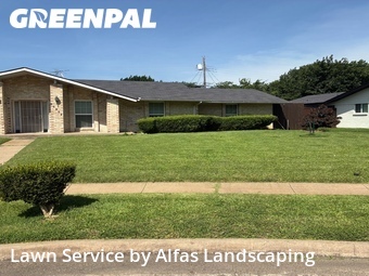 Yard Cutting nearby Farmers Branch, TX, 
