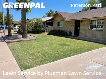 Local Lawn And Landscape Maintenance Services Near Me In Tempe,85282,Landscaping Services by Plugman Lawn Service, work completed in Jun , 2026