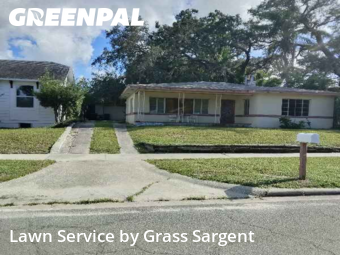Lawn Carein Clearwater,33755,Grass Cutting by Grass Sargent, work completed in Dec , 2025