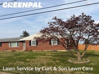 Grass Cut nearby Freemansburg, PA, 