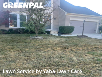 Yard Cutting nearby Franklin, OH, 