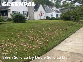 Yard Management in University Park, 20782, Grass Care by Deviv Service Llc, work completed in Oct , 2025