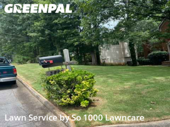 Lawn Mowing nearby Decatur, GA, 