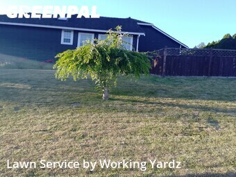 Lawn Cut nearby Auburn, WA, 