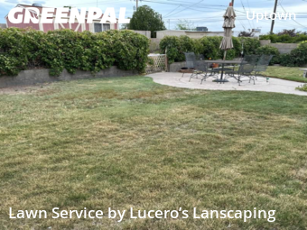Grass Cutting nearby Albuquerque, NM, 