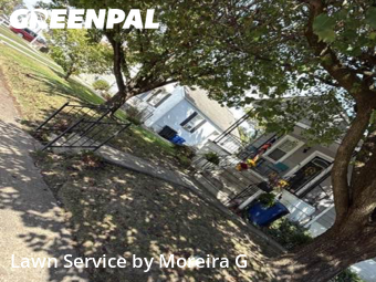 Yard Services in Parkville, 21234, Mowing Services by Moreira G, work completed in Oct , 2025