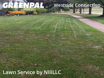 Lawn Maintenance nearby Grand Rapids, MI, 