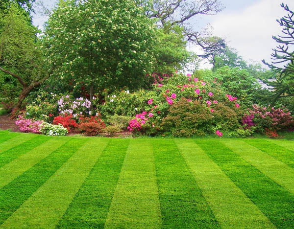 local-lawn-cutting-services-in-St Cloud-MN
