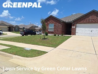 Grass Cut nearby Venus, TX, 
