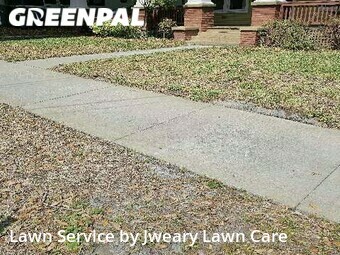 Lawn Cut nearby Lakeland, FL, 