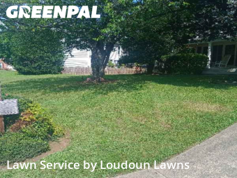 Grass Cut nearby Sterling, VA, 