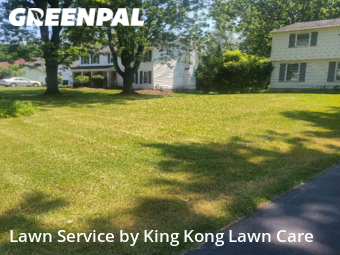 Grass Cut nearby Rochester, NY, 