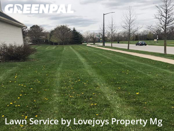 Lawn Cutting nearby Ann Arbor, MI, 