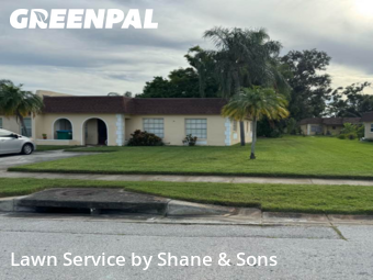 Yard Cutting nearby Seminole, FL, 