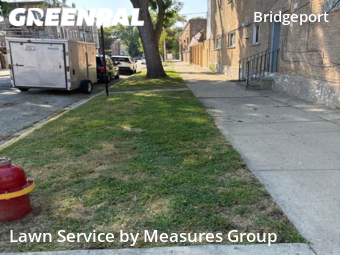 Lawn Care Service nearby Chicago, IL, 