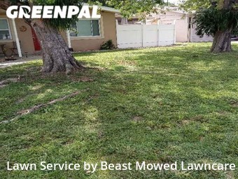 Yard Mowing nearby St. Petersburg, FL, 
