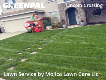 Landscaping Cleanup In Lincoln,95648,Landscape Design by Mojica Lawn Care Llc, work completed in Dec , 2025