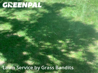 Lawn Mowing nearby Billings, MT, 