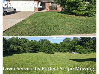 Lawn Care Service nearby Springfield, MO, 