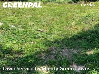Lawn mowed in Pittsburgh, 15210