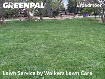 Lawn Service nearby Colorado Springs, CO, 