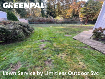 Grass Care in Des Moines, 98198, Grass Cutting by Limitless Outdoor Svc, work completed in Nov , 2025