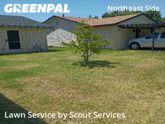 Lawn Cut nearby San Antonio, TX, 