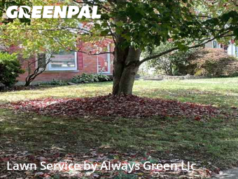 Lawn Cutting nearby Lexington, KY, 