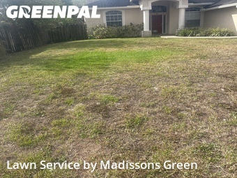 Lawn Mowing Service nearby West Palm Beach, FL, 
