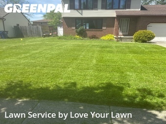 Lawn Mow nearby Buffalo, NY, 