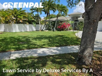 Yard Cuttingin Sunrise,33351,Lawn Mow by Deluxe Services By A, work completed in Jun , 2026