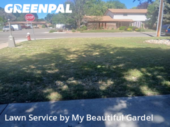 Yard Cutting nearby Longmont, CO, 