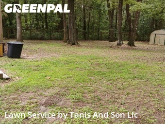 Landscapers In Gainesville,32609,Landscapers by Tanis And Son Llc, work completed in Jul , 2026
