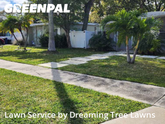 Grass Cutting nearby St. Petersburg, FL, 