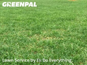 Lawn Service nearby Dolton, IL, 